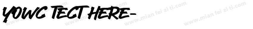 yowc tect here字体转换